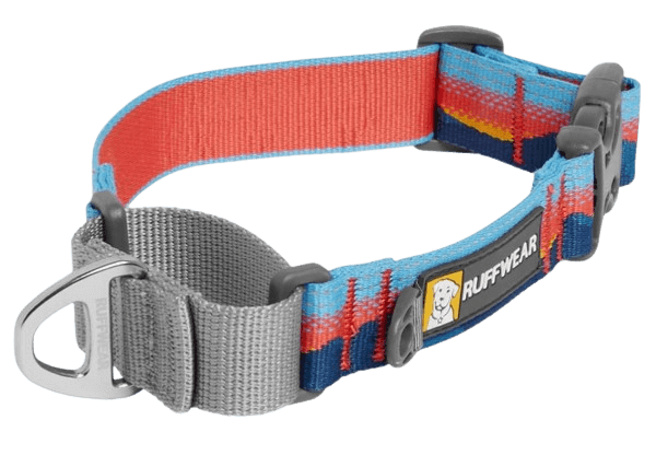 WEB Reaction Collar-11