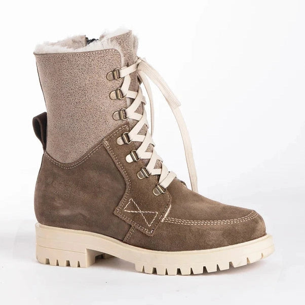 Alby-Suede Carvalho-1