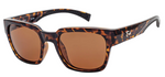 Cypress-DBB-Demi Brown/Brown-1