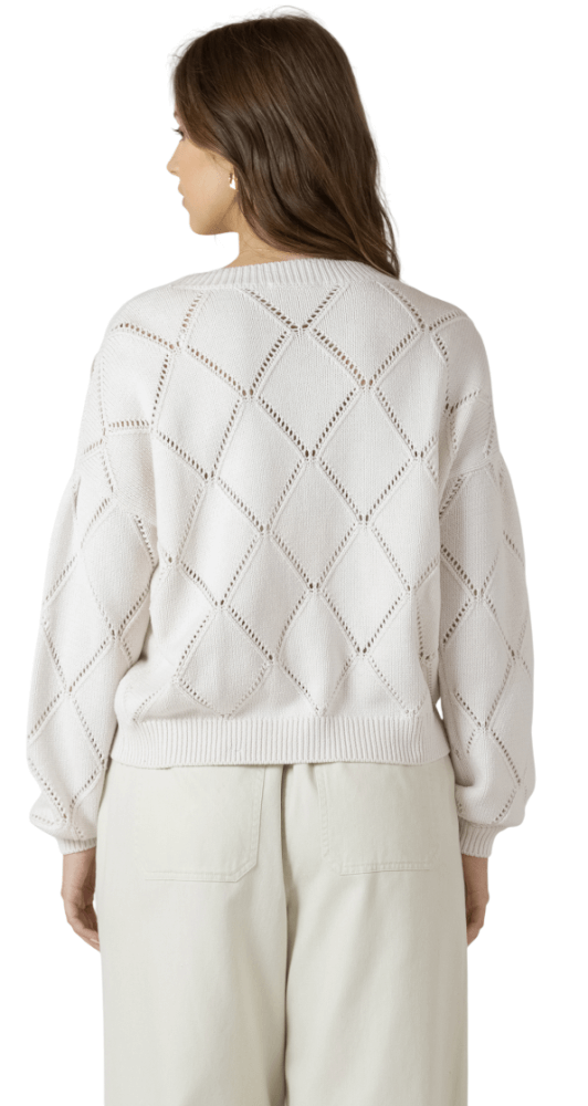 Embroidered Pointelle-8