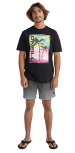 Cali Gradient 15" Volleys-4