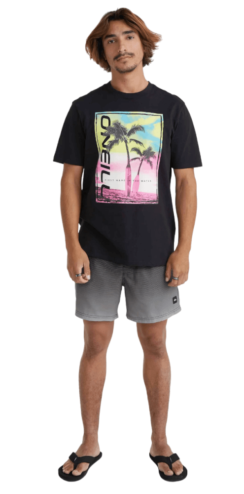 Cali Gradient 15" Volleys-4