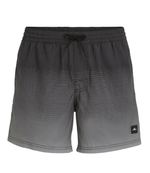 Cali Gradient 15" Volleys-11
