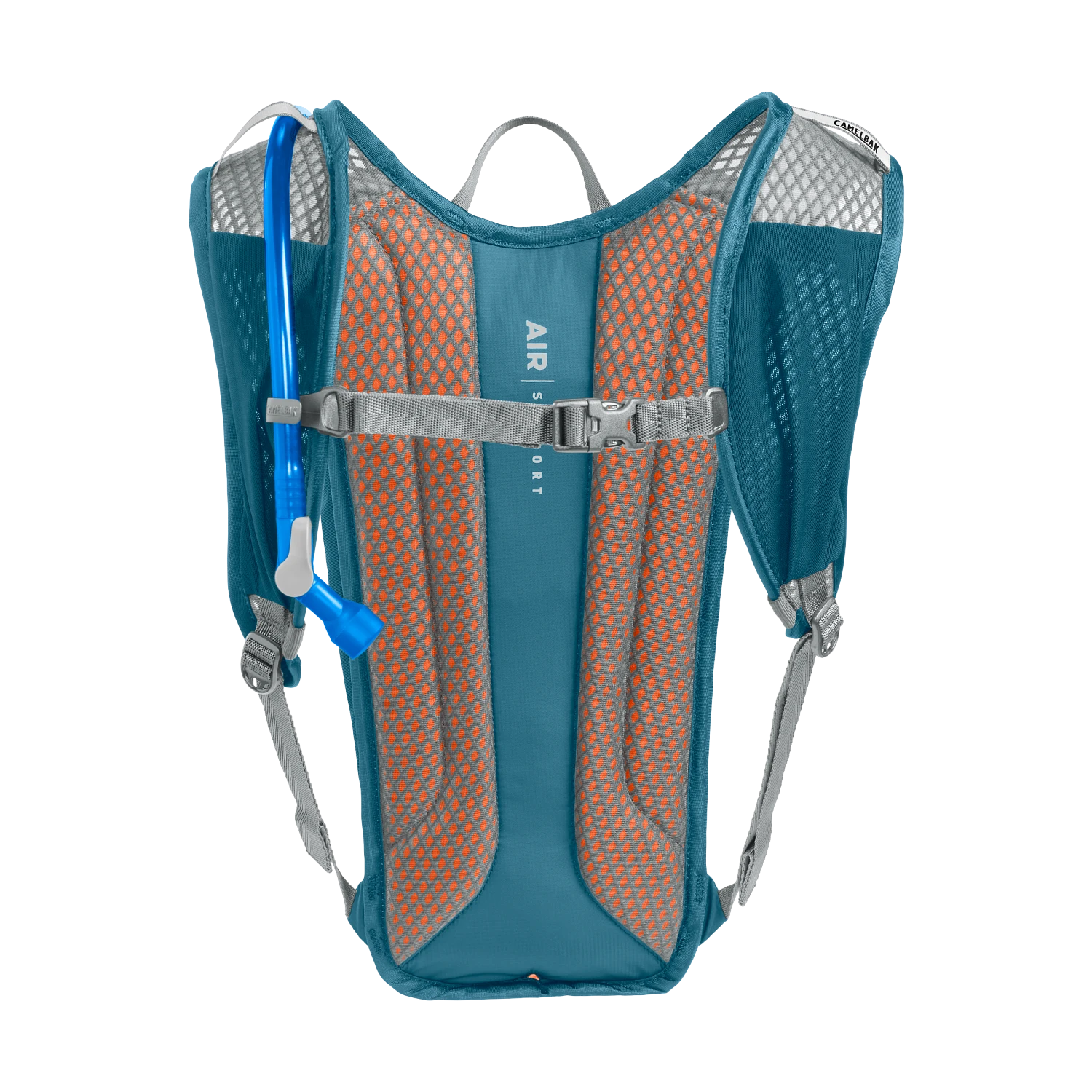 Rogue Light 7 70oz-2