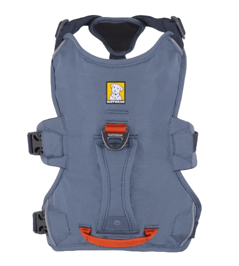 WEB Master Harness-16