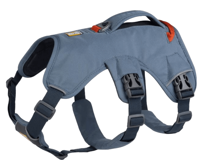 WEB Master Harness-17