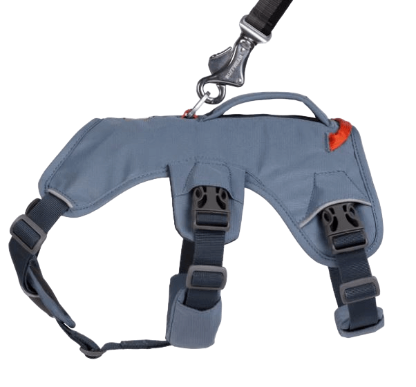 WEB Master Harness-33