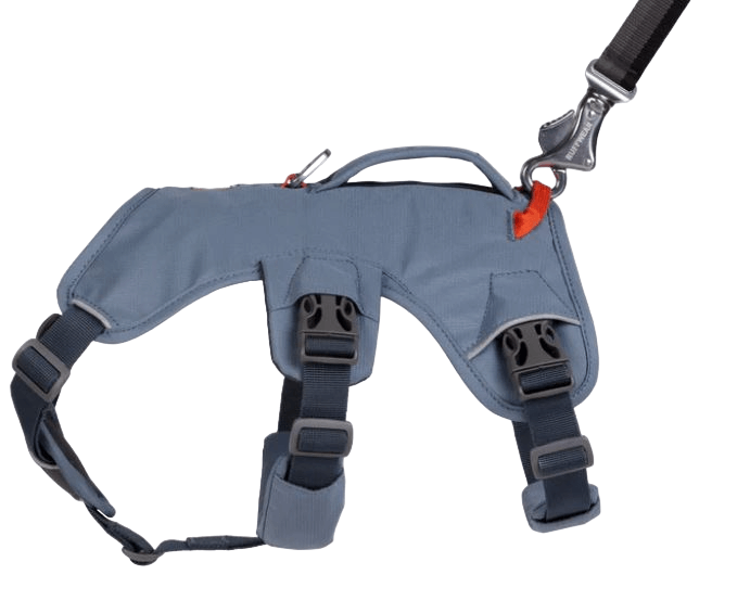 WEB Master Harness-5