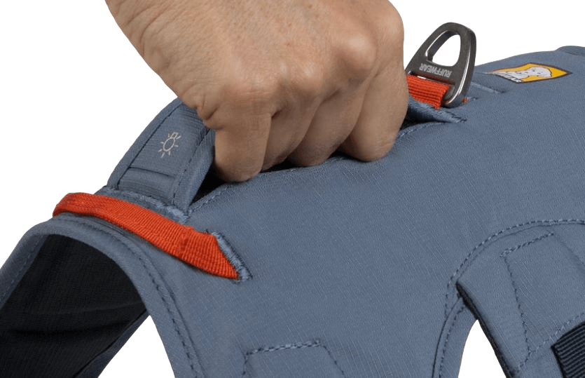 WEB Master Harness-6