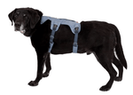 WEB Master Harness-36