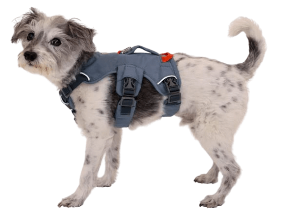 WEB Master Harness-22