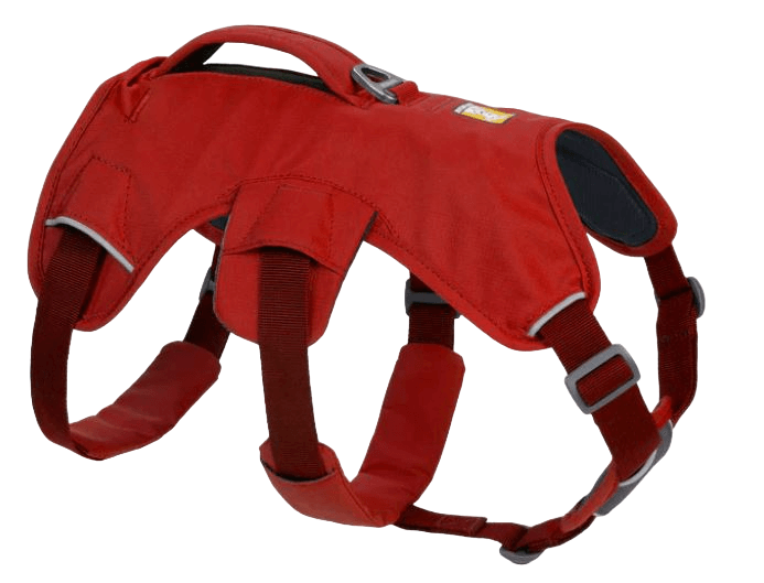 WEB Master Harness-23