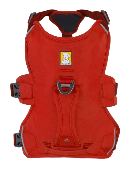 WEB Master Harness-39