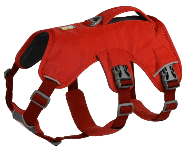WEB Master Harness-11