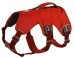 WEB Master Harness-25