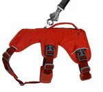 WEB Master Harness-26