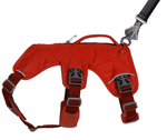 WEB Master Harness-42