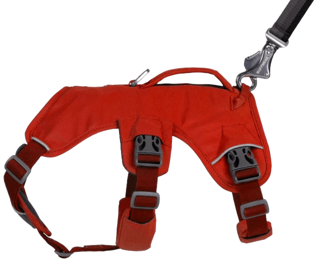 WEB Master Harness-42