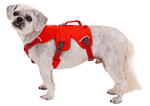 WEB Master Harness-29