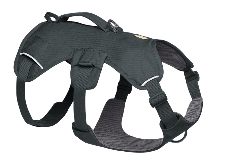 WEB Master Harness-042-Basalt Gray-1