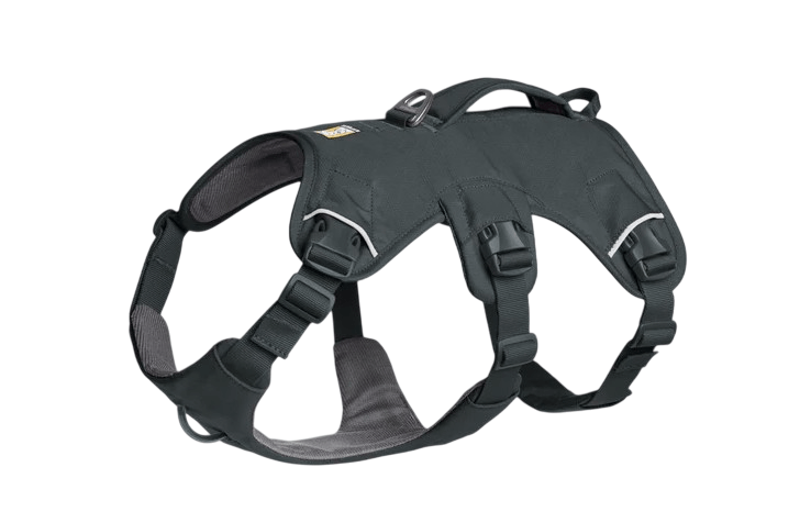 WEB Master Harness-16