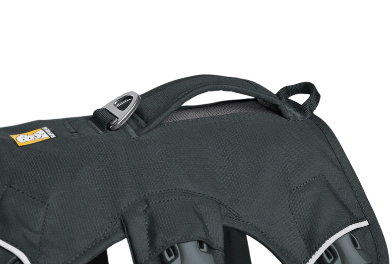 WEB Master Harness-18