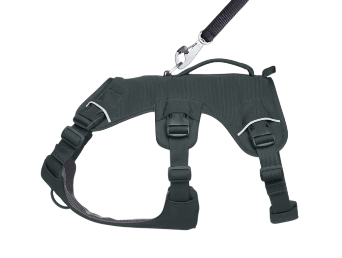 WEB Master Harness-19