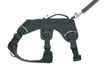 WEB Master Harness-6