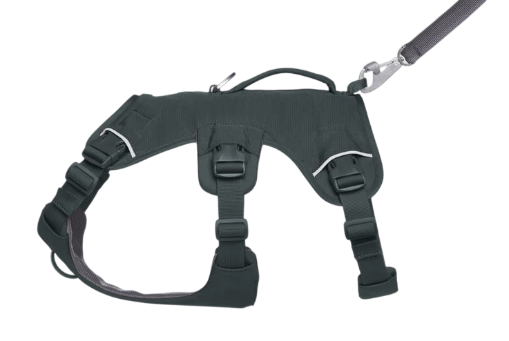 WEB Master Harness-35