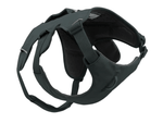 WEB Master Harness-7