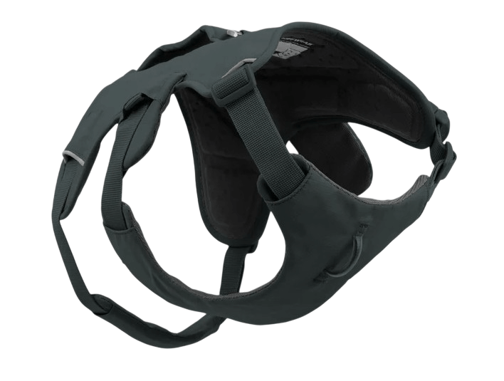 WEB Master Harness-7