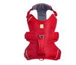 WEB Master Harness-37