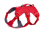 WEB Master Harness-23