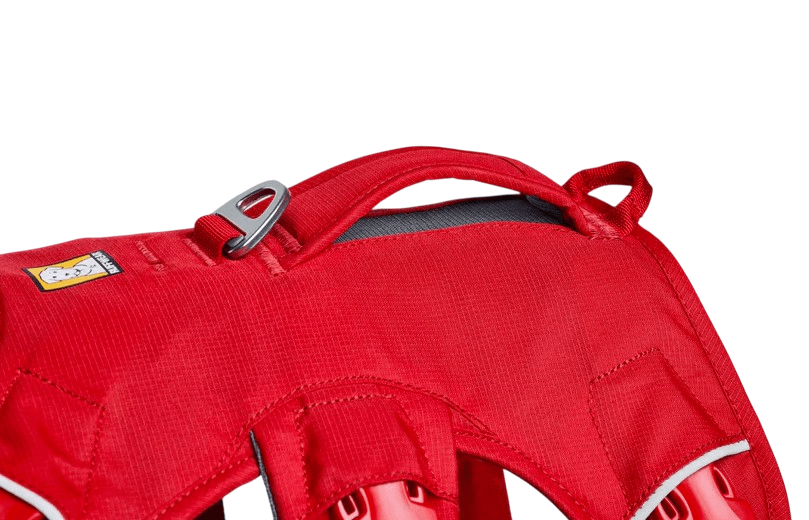 WEB Master Harness-39