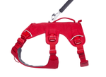 WEB Master Harness-40