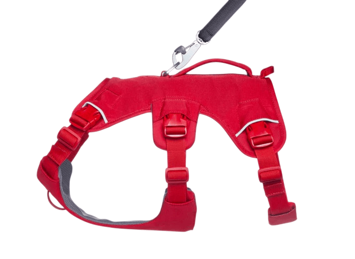 WEB Master Harness-40