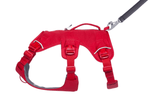 WEB Master Harness-26