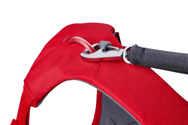 WEB Master Harness-27