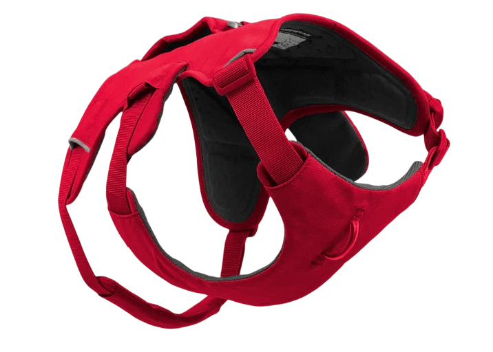 WEB Master Harness-28