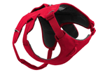 WEB Master Harness-15
