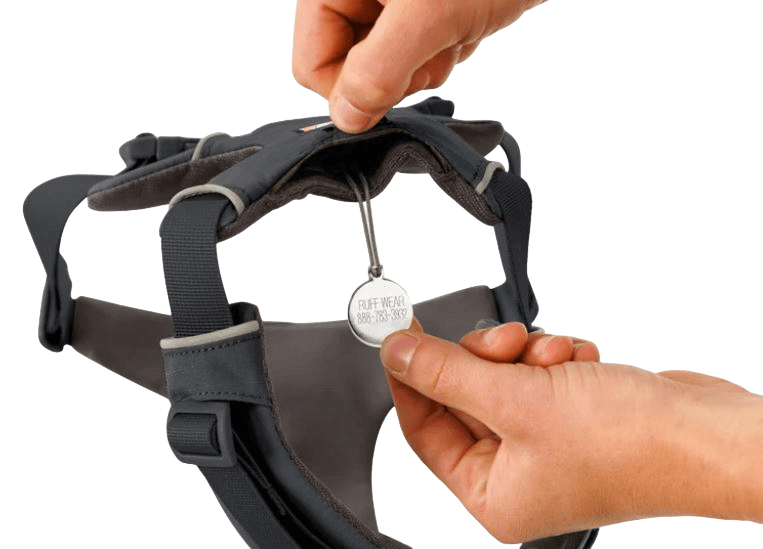 Front Range Harness-5