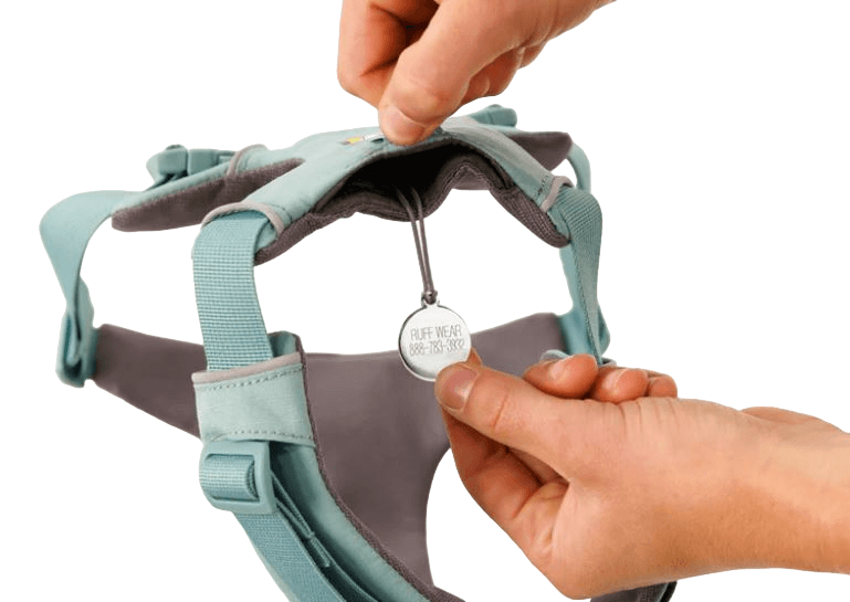 Front Range Harness-51