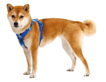 Front Range Harness-40