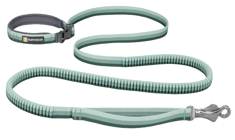 Roamer Leash-1