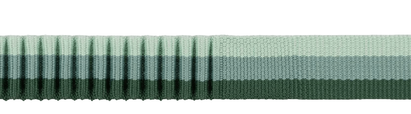 Roamer Leash-2