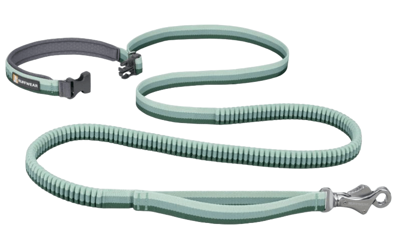 Roamer Leash-31