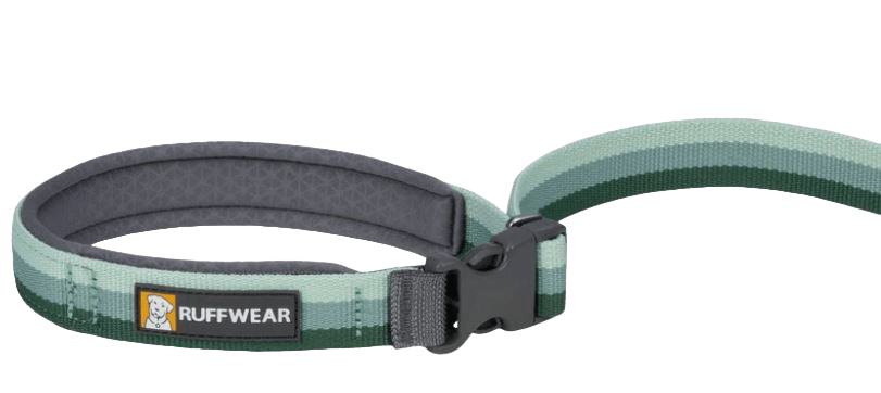 Roamer Leash-18