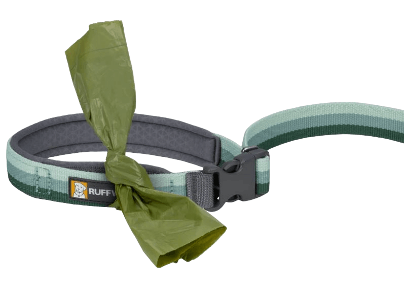 Roamer Leash-6
