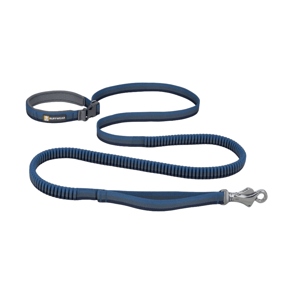 Roamer Leash-480-Orion Blue-1