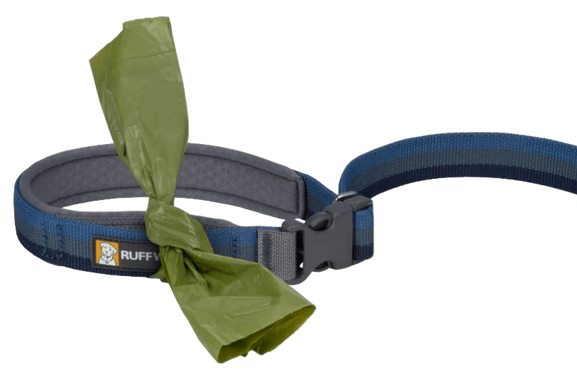 Roamer Leash-39